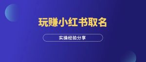 每天5分钟,玩赚小红书取名,纯实操经验分享!-羽富社星球