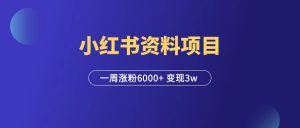 小红书虚拟资料项目，一周涨粉6000+ ，变现3w+！-羽富社星球