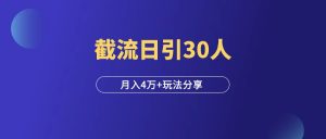 我是如何截流的?日引30人,月入4万+!-羽富社星球