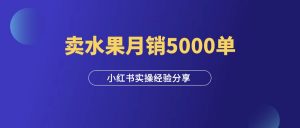 新手在小红书卖水果,从0到月销5000单的经验分享!-羽富社星球