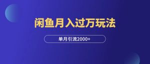 玩转闲鱼,单月引流2000+,月入过万保姆级玩法!-羽富社星球